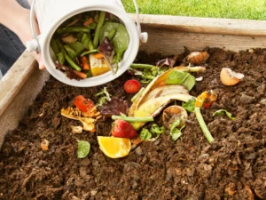 Food scraps of strawberries, bananas, green beans and citrus being left on an outdoor compost pile for sustainability